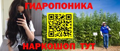 ГАЛЛЮЦИНОГЕННЫЕ ГРИБЫ Донской