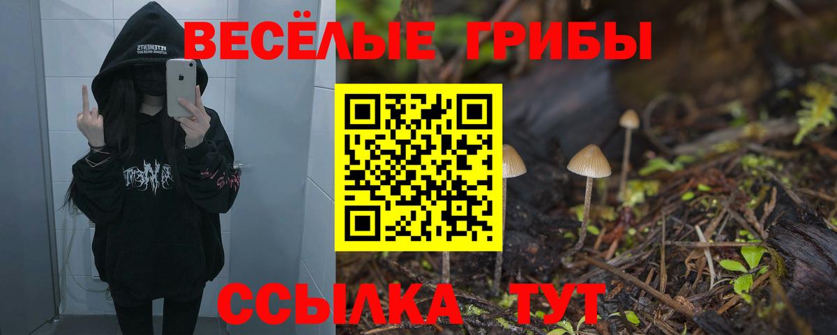 Лесосибирск  Галлюциногенные грибы Cubensis  Вход с VPN 